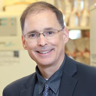 James L. Gulley, M.D., Ph.D.