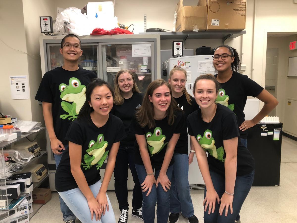 Daar Lab Summer Student Interns 2018 - Back row: Eric Gu, Rachel Beall, Heather Rogers, Tiana Fitzgerald. Front row: Hannah Jo, Maddy Salehi, Kim Grasmick.